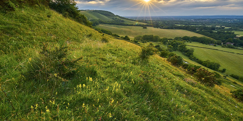 Green countryside